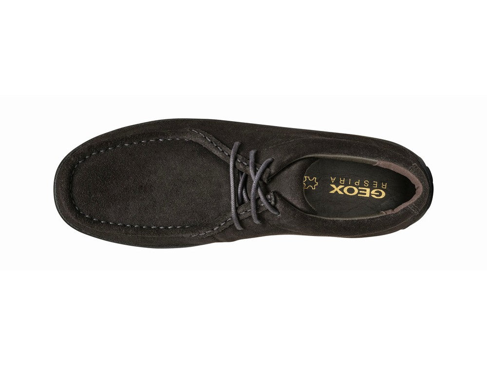 Polacchini geox cheap