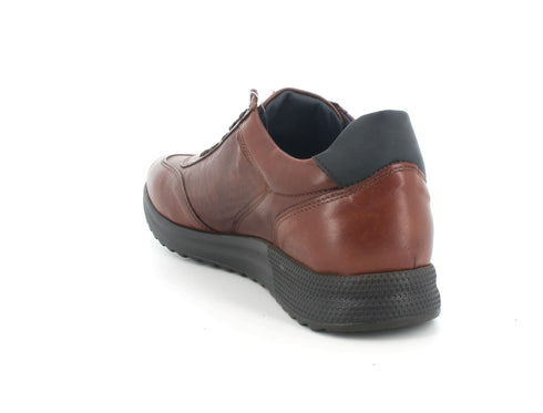 Melluso Uomo Scarpe basse Pelle U16116A-205364 Marrone