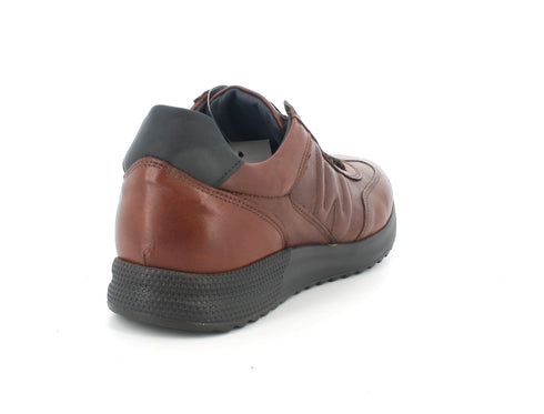 Melluso Uomo Scarpe basse Pelle U16116A-205364 Marrone