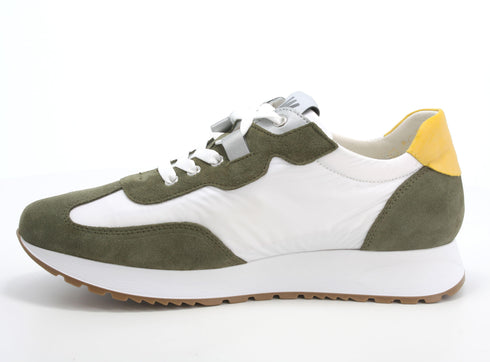 Melluso Uomo Scarpe basse Pelle / Tessuto U16401-212504 Verde