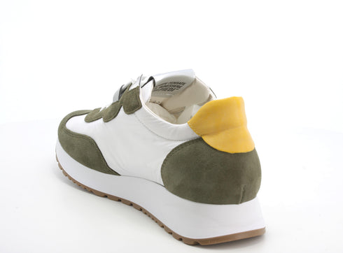 Melluso Uomo Scarpe basse Pelle / Tessuto U16401-212504 Verde