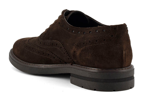 CafèNoir Uomo Inglesina pelle scamosciata FXN631 T.moro