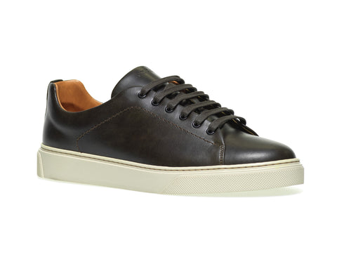 Frau men's low lace-up shoes in leather