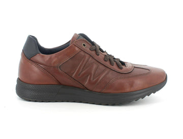 Melluso Uomo Scarpe basse Pelle U16116A-205364 Marrone