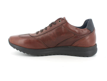 Melluso Uomo Scarpe basse Pelle U16116A-205364 Marrone