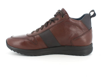 Melluso Uomo Polacchini Pelle U16121A-205353 Marrone