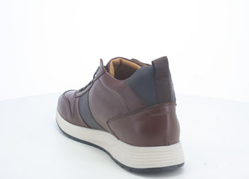 Melluso Uomo Scarpe basse Pelle U16253-218904 Marrone