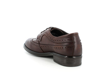 Melluso Uomo Derby Pelle U55407BK-182759 Marrone