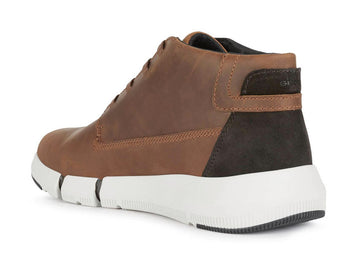 Geox Adapter men's lace-up leather ankle boots